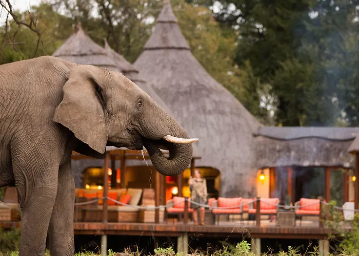 Hoyo Hoyo Safari Lodge