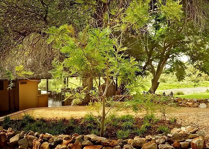 Motswari Private Game Reserve Resort By Newmark